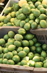 Limes in crates at a market