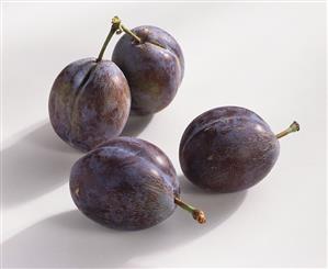 Four plums (Prunus domestica), variety ?Elena?