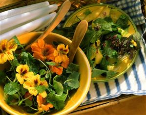 Cress salad with flowers & dandelion salad with mango (1)