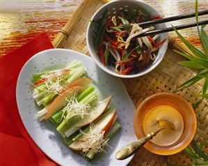 Spring onions with alfalfa sprouts & sprout salad (4)