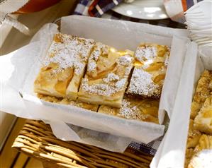 Quark apricot slices with icing sugar on picnic basket