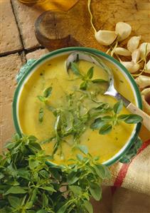 Garlic soup with strips of romaine lettuce & basil leaves