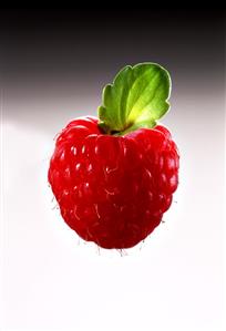 A Single Raspberry