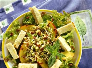 Sprout salad with cheese croutons & nectarines