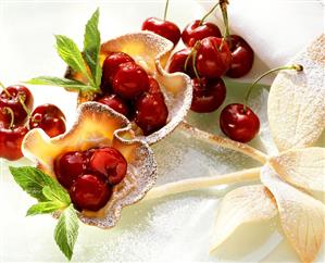 Cherry tartlet with stalk, icing sugar and herb leaves (2)