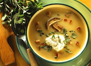 Potato soup with yellow boletus, swirls of cream & marjoram