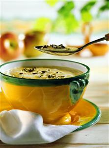 Sauerkraut soup with apple & pumpkin seeds in soup bowl