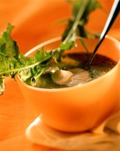 Broad bean soup with dandelion in orange bowl (1)