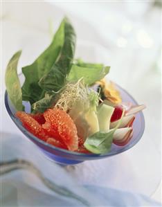 Grapefruit & onion salad on spinach with fennel, sprouts (2)