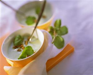 Creamy watercress soup with cress leaves and croutons