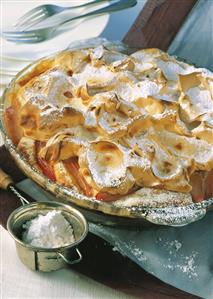 Rhubarb pie with icing sugar in a pie dish