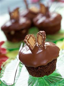 Lion muffins with chocolate icing & chocolate slices