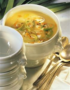 Potato and leek soup with diced carrots in soup tureen