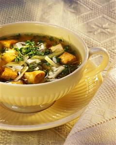 Onion soup with diced tofu and cress in soup cup