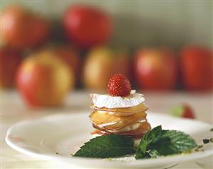 Apple sorbet between toasted apple slices with cinnamon