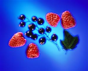 Black Currants and Red Raspberries