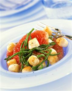 Pilgrim scallops with pink grapefruit & marsh samphire