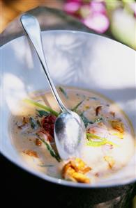 Lobster soup in deep plate with spoon (1)