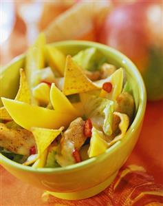 Chicken with chili rings, mango dip, tortilla chips & lettuce