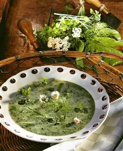 Burnt herb soup with daisies in plate