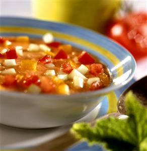 Cold tomato and vegetable soup in soup plate