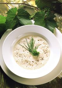 Mainz "Hand cheese" soup with caraway and fresh herbs