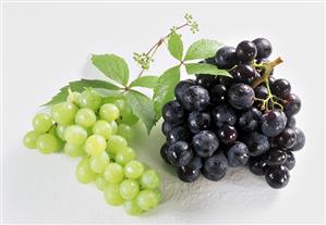 Red and green grapes with drops of water and vine leaves