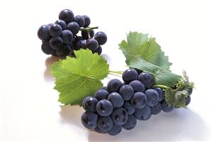 Red grapes with vine leaves on a white background