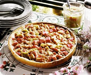 Whole rhubarb tart on a cake rack