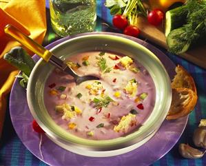 Polish cold yoghurt soup with vegetables & bread cubes