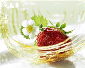 Strawberry; Caramel Threads