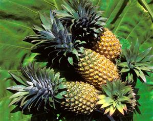 Several pineapples on a green leaf