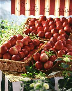 Fresh nectarines from the market