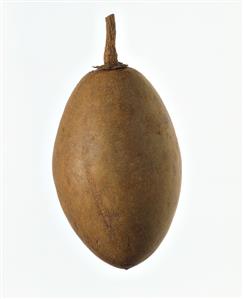 A sapodilla