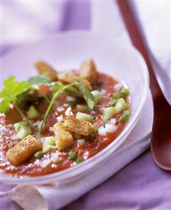 Gazpacho with croutons in white soup plate (1)