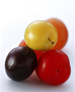 Plums of various colours on white background (2)