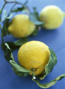 Lemons with stalk and leaves