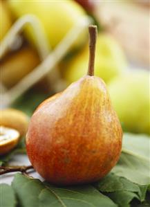 Pear on green leaves