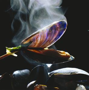 Steaming mussels in white wine (1)