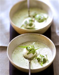 Herb soup with fresh goat's cheese (1)