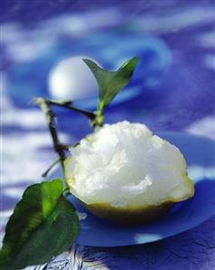 Lemon Sorbet in Halved Lemon