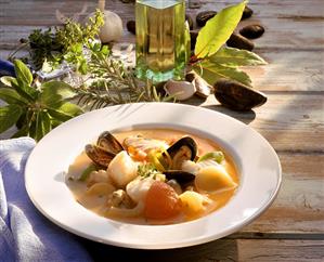 Bouillabaisse with fresh herbs