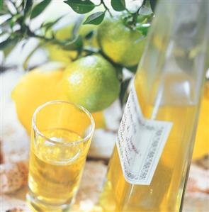 Limoncello (home-made lemon liqueur), Campania, Italy