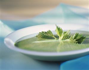 Nettle soup with fresh nettle leaves