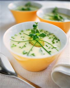 Cream of potato soup with fresh herbs