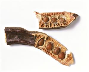 Carob, cut open, on white background