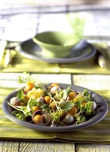 Mixed salad leaves with skewered melon and mozzarella