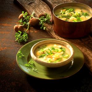 Leek and potato soup in soup plate and copper pan