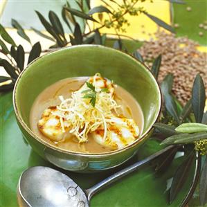 Stuffed scallops on creamed lentil soup