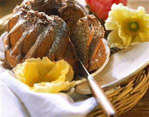 Coffee cake with icing sugar and grated chocolate